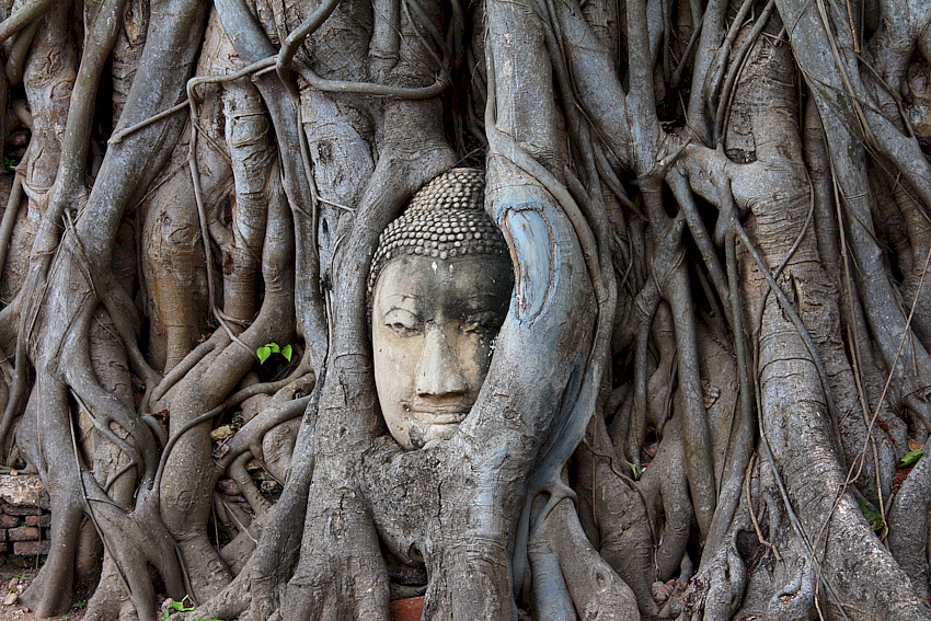 Thailändischer Tempel mit Mönch